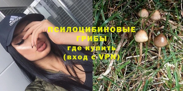 ГАЛЛЮЦИНОГЕННЫЕ ГРИБЫ Абинск