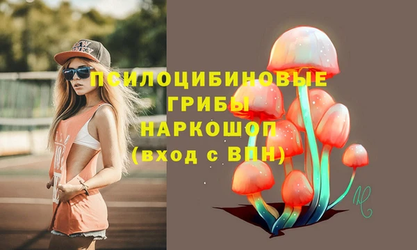 ГАЛЛЮЦИНОГЕННЫЕ ГРИБЫ Абинск