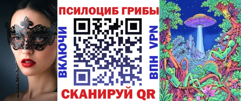 Псилоцибиновые грибы Cubensis  Александровск 